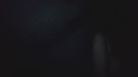 I work 5PM to 9 PM EST  New York online show from April 2026 09:45:01 PM