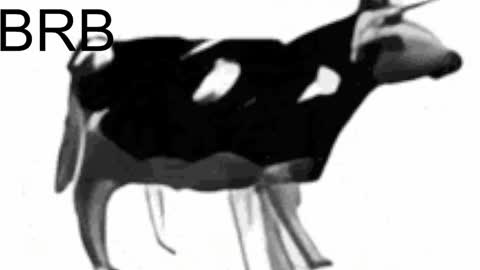 just call me Lana  and her security online show from February 2025 08:07:02 AM