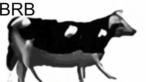 just call me Lana  and her security online show from February 2025 11:10:02 AM