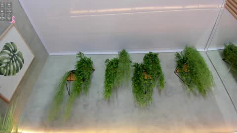 lana_lann online show from January 2025 03:34:01 PM