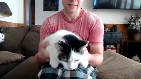 Lance online show from February 2025 03:15:02 PM