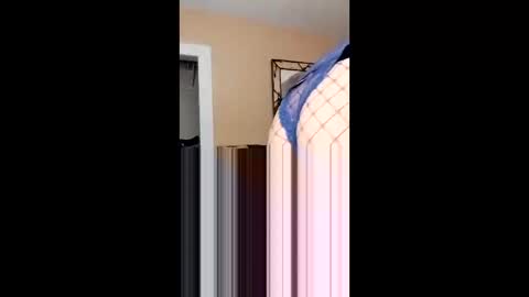 langederek2 online show from February 2026 03:03:01 AM