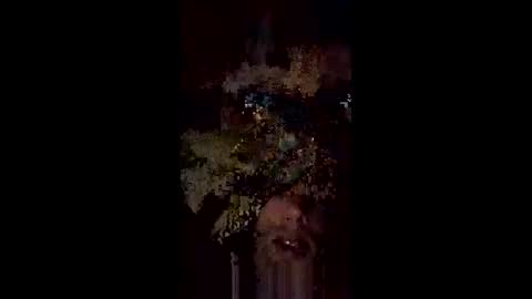 langederek2 online show from May 2026 03:24:01 AM