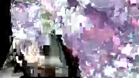 latexchris77 online show from January 2026 10:50:01 AM