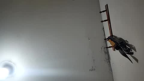 Snapshot of latigo1000 chatting on December 2025 03:30:02 PM CHARLES ROBERT online show from December 2025 03:30:02 PM