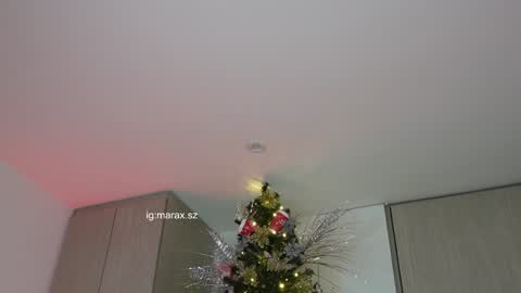 Mara online show from December 2024 03:08:02 AM