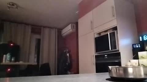 Law online show from December 2025 05:45:02 AM