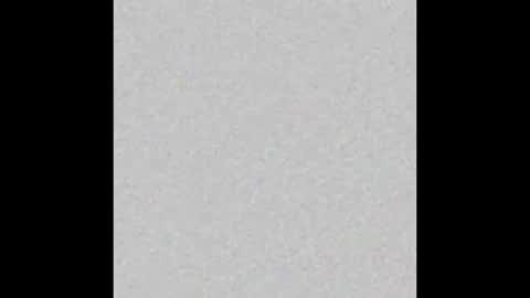 Layla online show from December 2024 10:44:02 AM