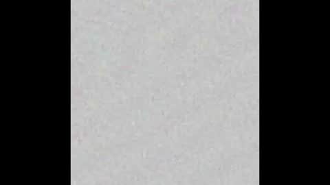 Layla online show from March 2025 12:57:02 PM