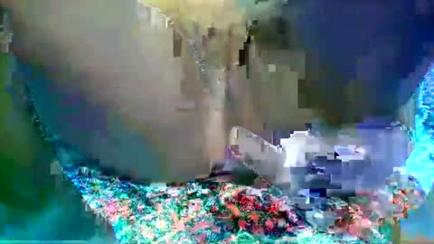 leilah_hope online show from February 2026 05:47:02 AM