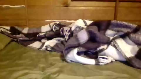 leskator9 online show from November 2025 09:09:01 AM