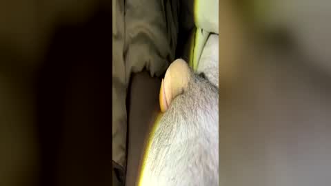 letsfucktn22 online show from June 2026 07:25:01 AM