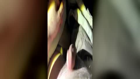 letsfucktn22 online show from July 2026 06:47:02 AM