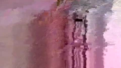 Snapshot of letslookateach chatting on February 2026 08:46:02 AM letslookateach online show from February 2026 08:46:02 AM
