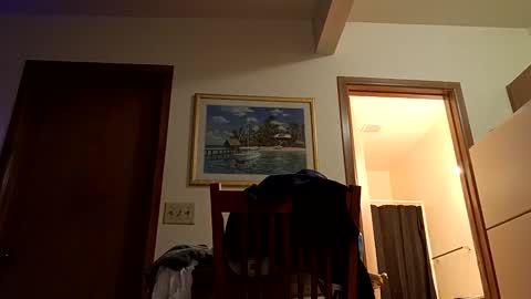 letsplay361 online show from March 2025 08:05:01 AM