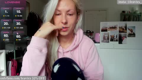 Snapshot of leusee chatting on December 2024 11:36:01 AM LeaVixx online show from December 2024 11:36:01 AM