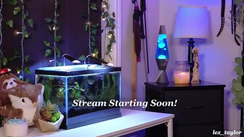 Lex online show from December 2024 04:46:02 PM