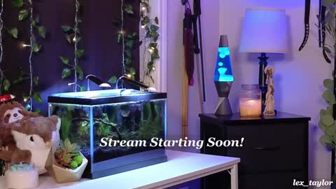 Lex online show from January 2025 03:46:01 AM