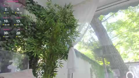 Snapshot of lexi_storm chatting on May 2026 07:05:01 AM lexi_storm online show from May 2026 07:05:01 AM