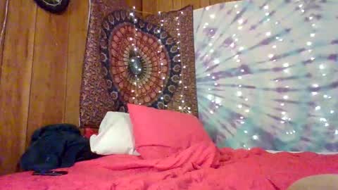 Snapshot of lexlanierxo chatting on February 2026 06:01:01 AM LexieLanierxo online show from February 2026 06:01:01 AM