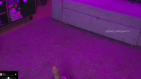 Snapshot of liaa_rodriguezz chatting on February 2025 02:55:02 AM Liaa  online show from February 2025 02:55:02 AM