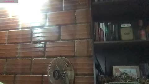 Amy online show from March 2026 01:46:02 AM