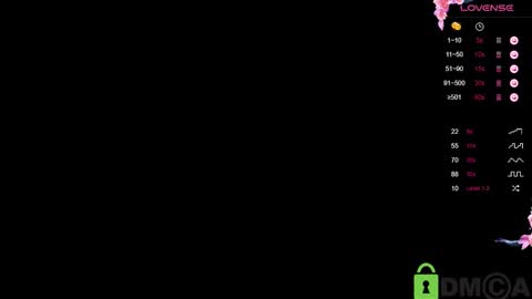 Snapshot of lianngrace chatting on March 2025 04:55:02 PM Grace online show from March 2025 04:55:02 PM