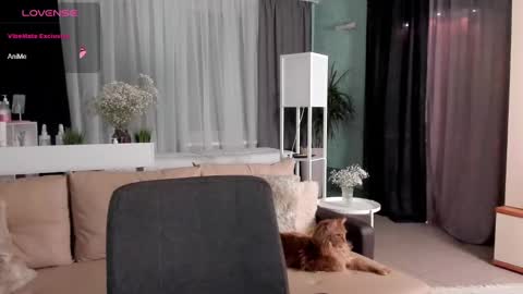 Libby online show from January 2025 06:15:01 PM