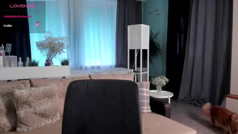 Libby online show from January 2025 12:12:02 PM