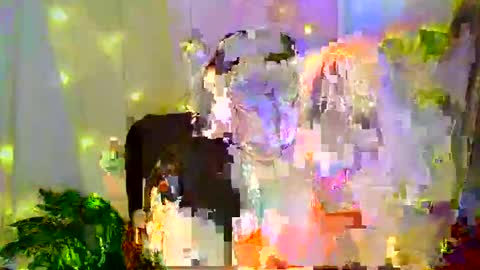 Liberta online show from November 2025 03:21:02 AM