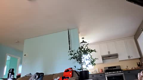 Snapshot of lickurpussygood40 chatting on October 2025 05:31:02 PM lickurpussygood40 online show from October 2025 05:31:02 PM