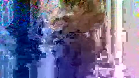 Light Mage online show from February 2026 07:59:02 AM