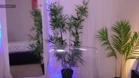 Snapshot of liia_sweett chatting on June 2026 04:22:02 PM Lia Sweet online show from June 2026 04:22:02 PM