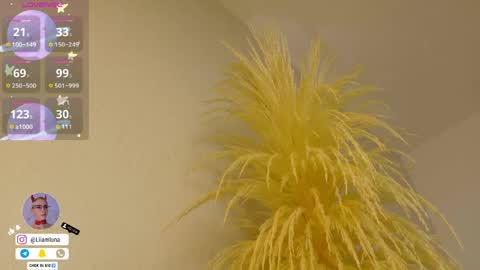 Liiam Luna online show from April 2026 10:00:01 AM