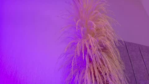 Liiam Luna online show from April 2026 11:02:01 AM