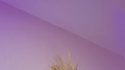 Liiam Luna online show from April 2026 11:05:01 AM