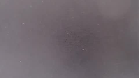 liiz5 online show from March 2026 07:29:01 PM