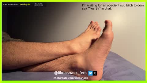 Snapshot of likeasnack chatting on October 2025 06:47:01 AM likeasnack online show from October 2025 06:47:01 AM