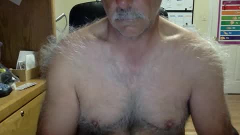 likefhot online show from March 2026 11:57:01 AM