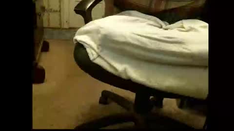 Snapshot of lile_luvit chatting on March 2026 05:37:02 PM Sasquatch online show from March 2026 05:37:02 PM