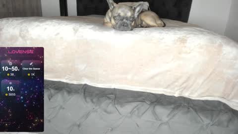 Lilith Parker online show from January 2025 01:20:02 AM