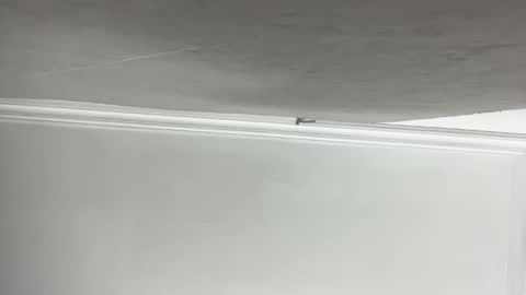 Lilith  online show from November 2025 03:23:02 PM