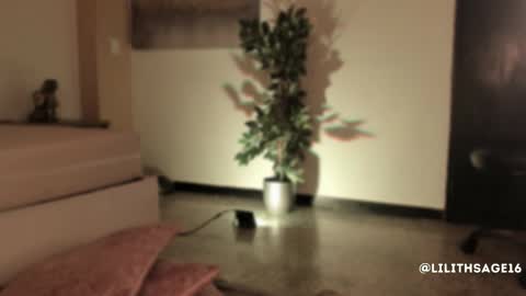 lilith_sage_ online show from November 2025 11:53:02 AM