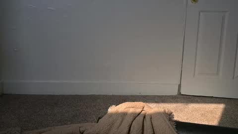 L online show from March 2025 04:30:02 PM