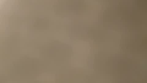 Mia online show from November 2025 12:26:01 PM