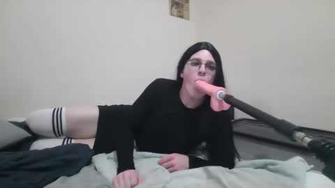 lilsissygir1 online show from February 2025 03:37:01 AM