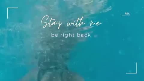 Lily online show from September 2025 07:00:01 AM