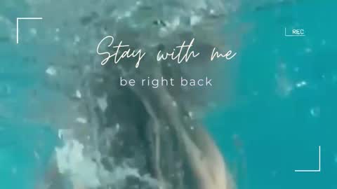 Lily online show from September 2025 07:02:01 AM