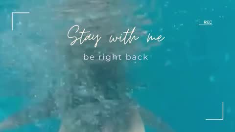 Lily online show from November 2025 06:27:01 AM