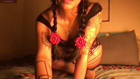 Little Lily online show from April 2026 05:30:01 AM